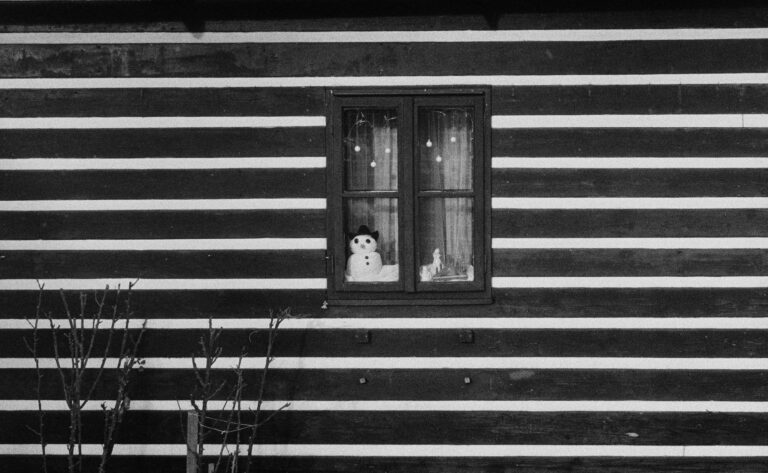 Photo by Jakub Herman