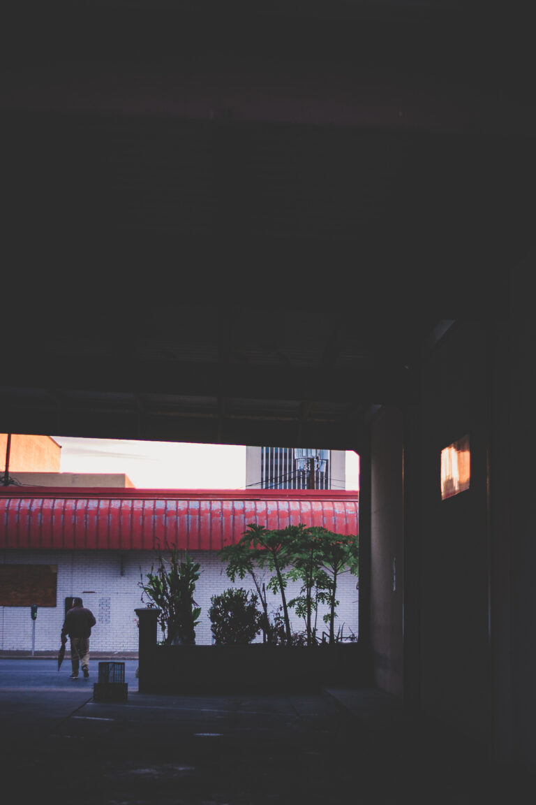 Photo by Jose Silva
