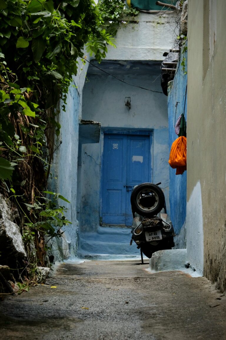 Photo by Tanwir Mir