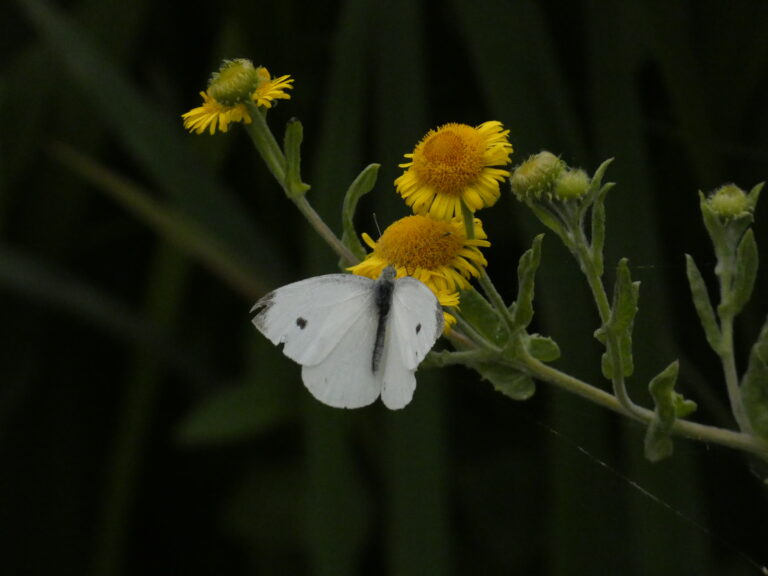 Photo by Yusuf Gungor