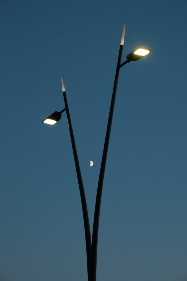 Photo by Mihajlo