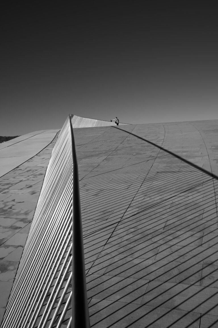 Photo by Marco Milling