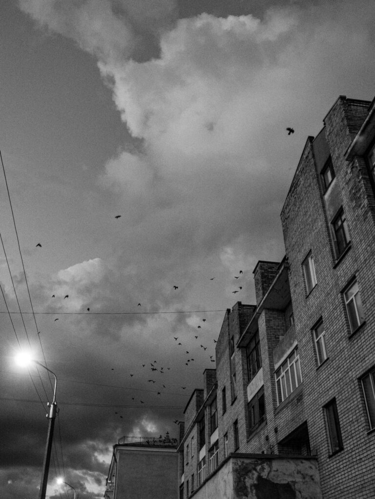 Photo by Vladimir Ulanov