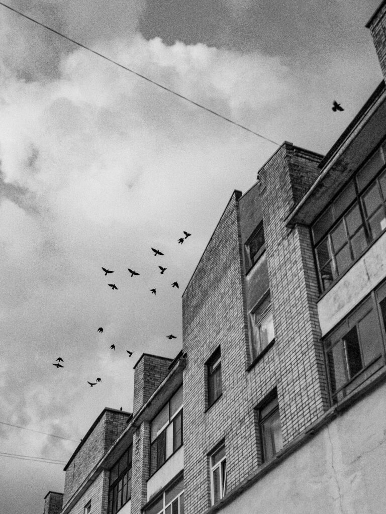 Photo by Vladimir Ulanov