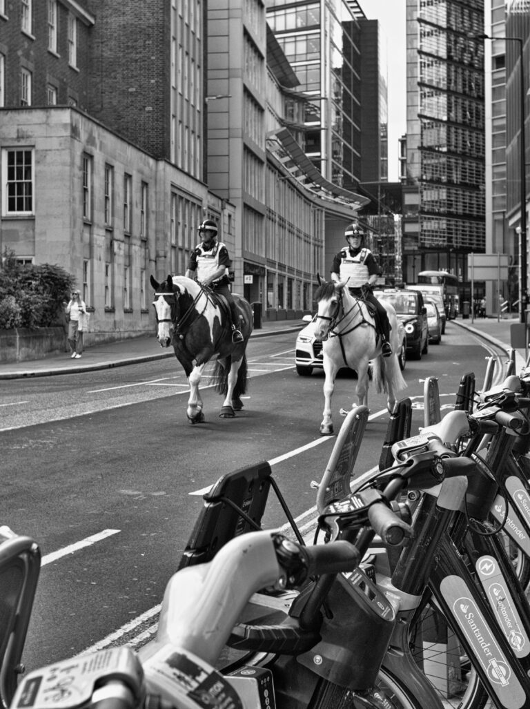 Photo by Stewart Ayling