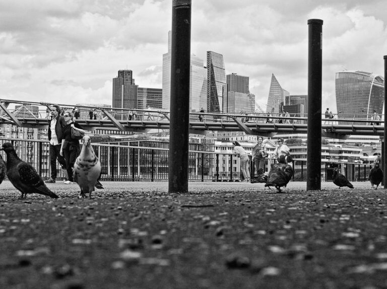 Photo by Stewart Ayling