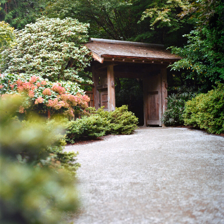Photo by Andrew Hirata