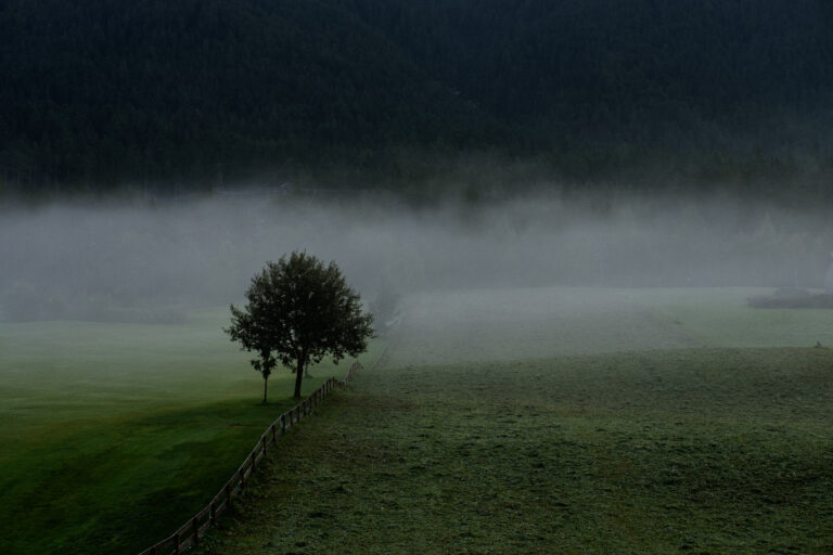 Photo by Alex Tukalo