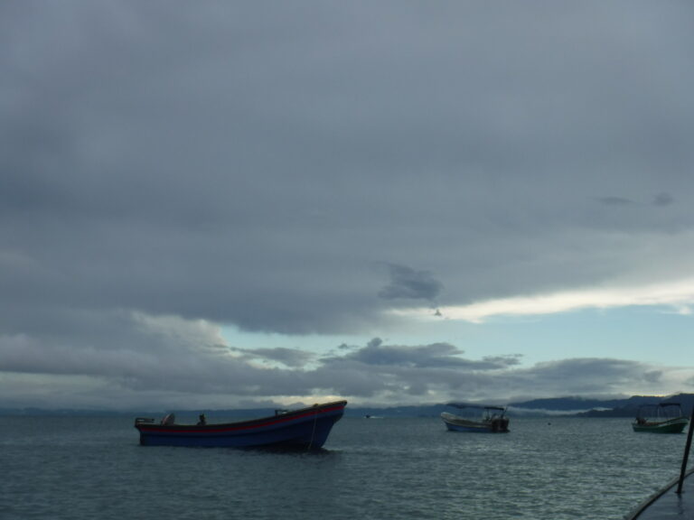Photo by Ana Muñoz