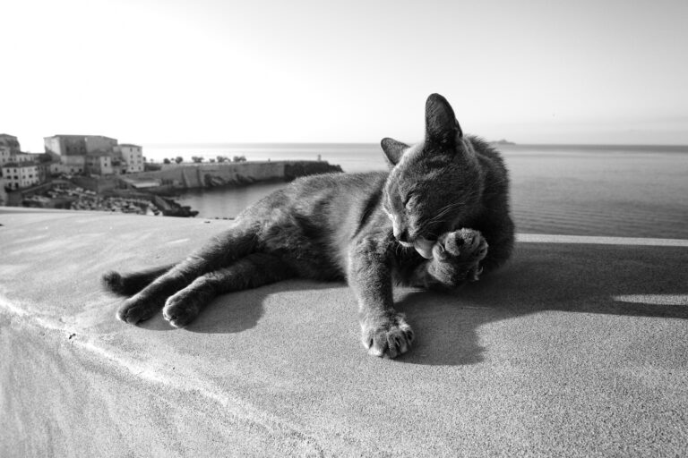 Photo by Thomas Bassetti