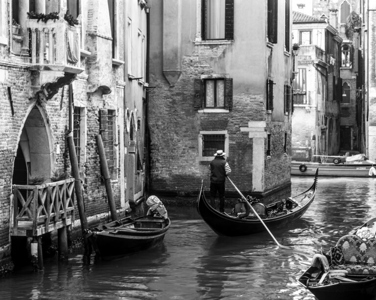 Photo by Cinza Hart