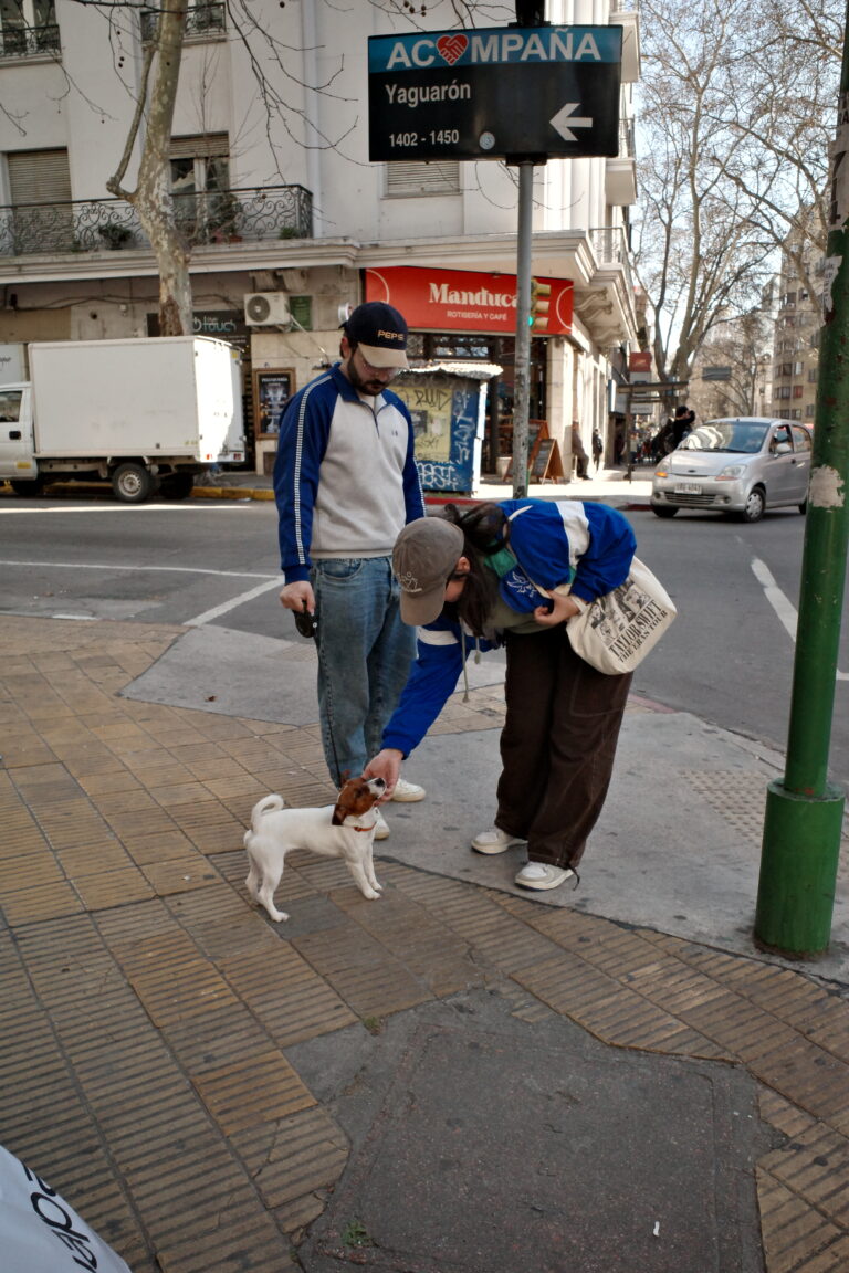 Photo by Diego Barlocco