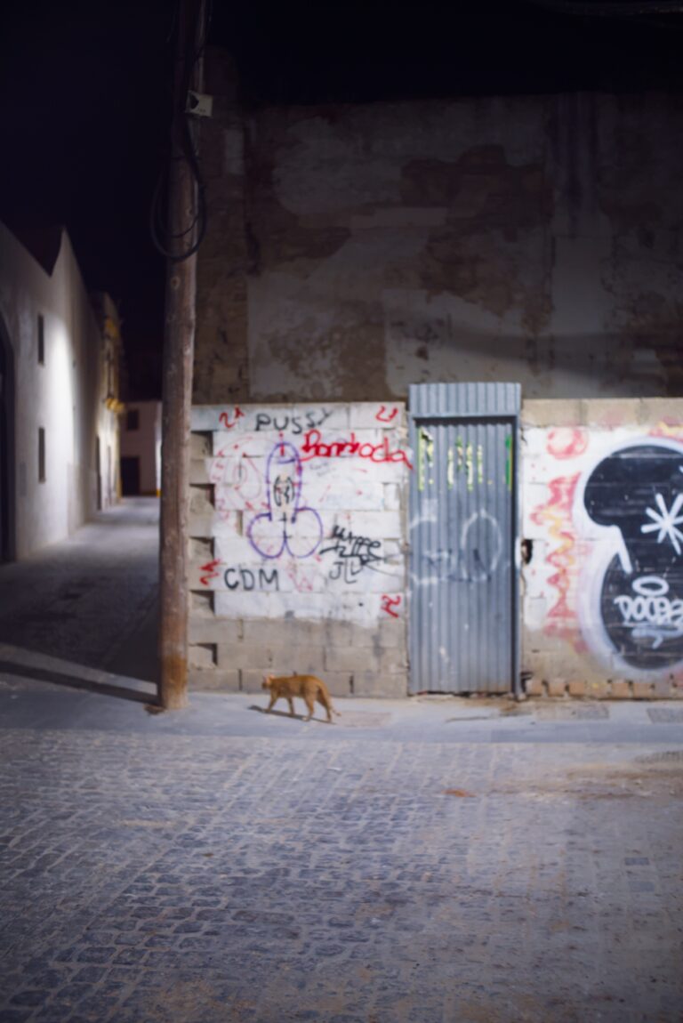 Photo by Pascal Hoerner