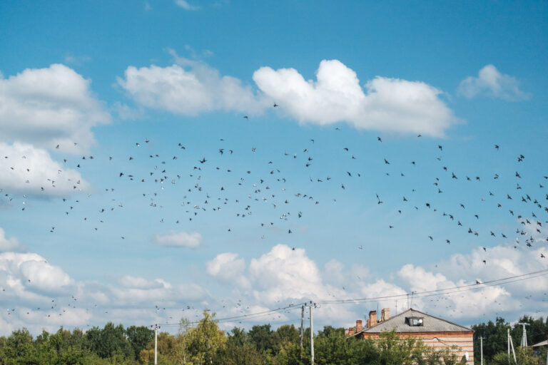 Photo by Sergey Babitov