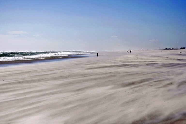 Street photo in Massapequa, United States by Mark Lozier
