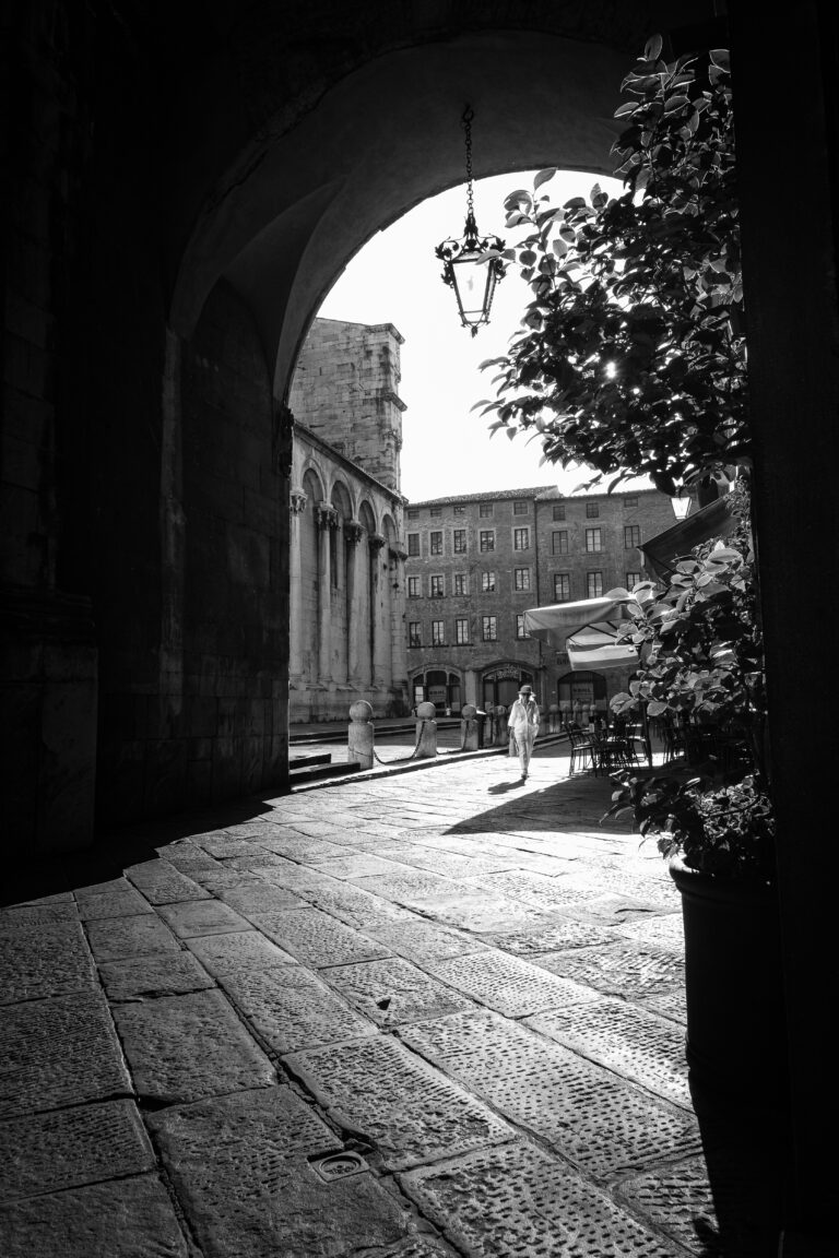 Photo by Thomas Bassetti