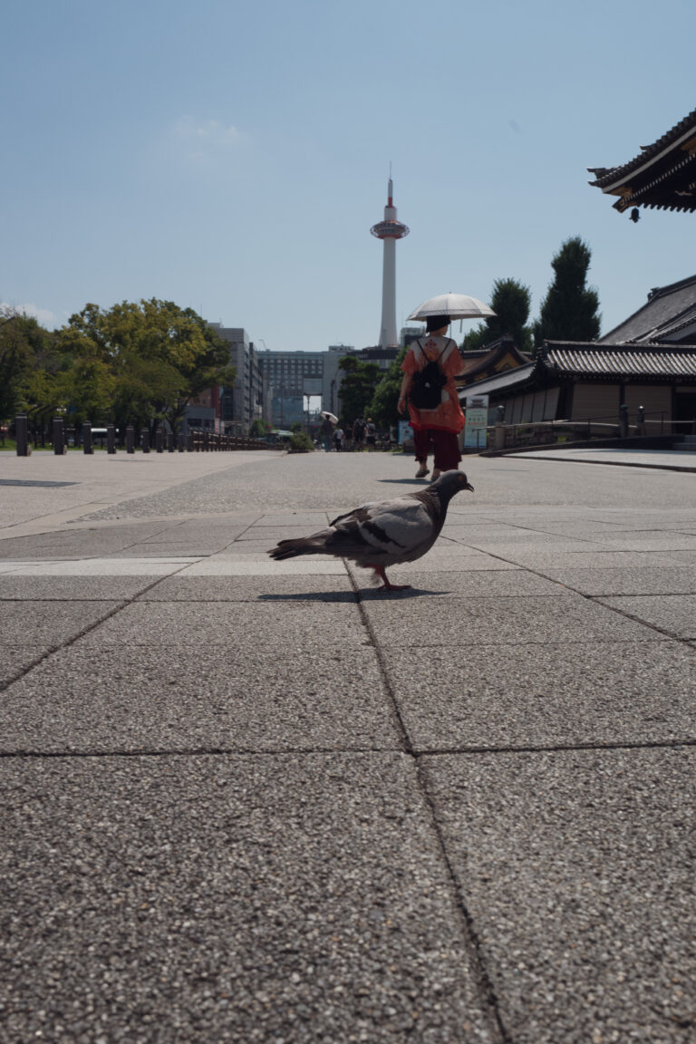 Photo by Kenichi Boya