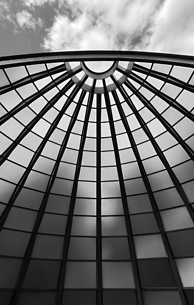 Photo by Franck Toto