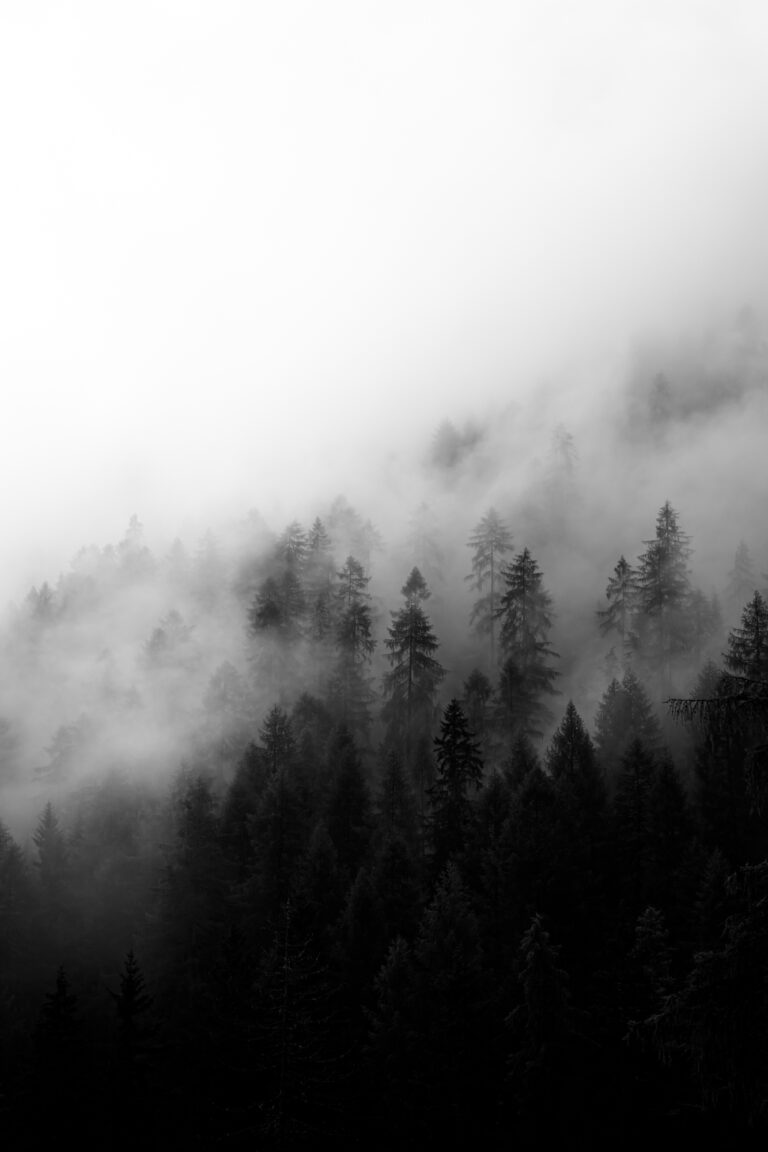 Photo by James Murray