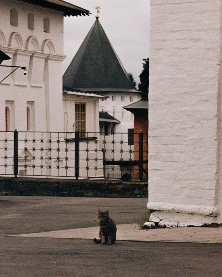 Photo by Aleksandr Soldatov