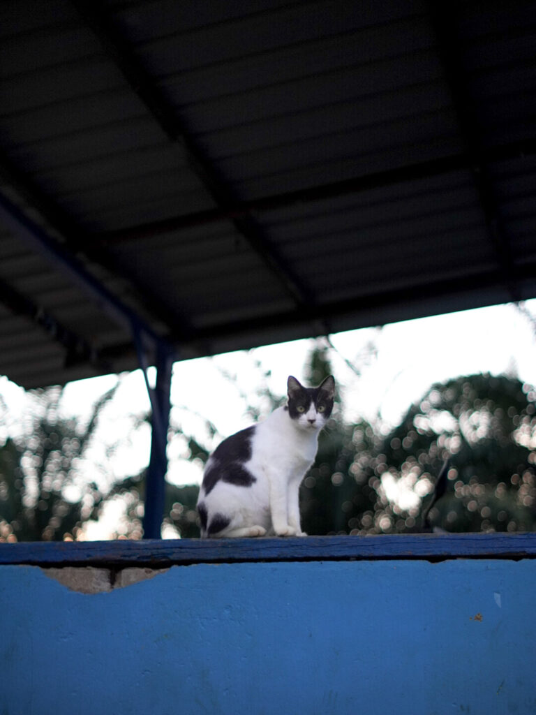 Street photo in Kota Tinggi, Malaysia by Muhd Aswad