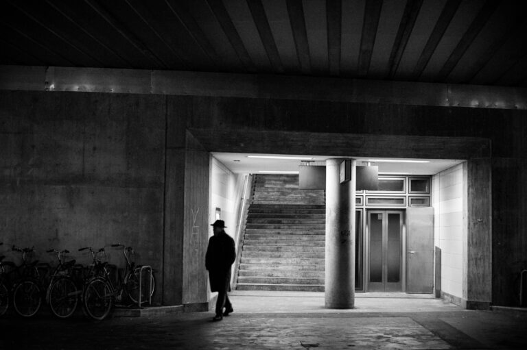 Photo by Philipp Rein