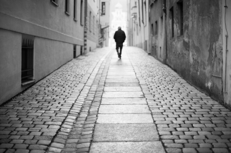 Photo by Philipp Rein