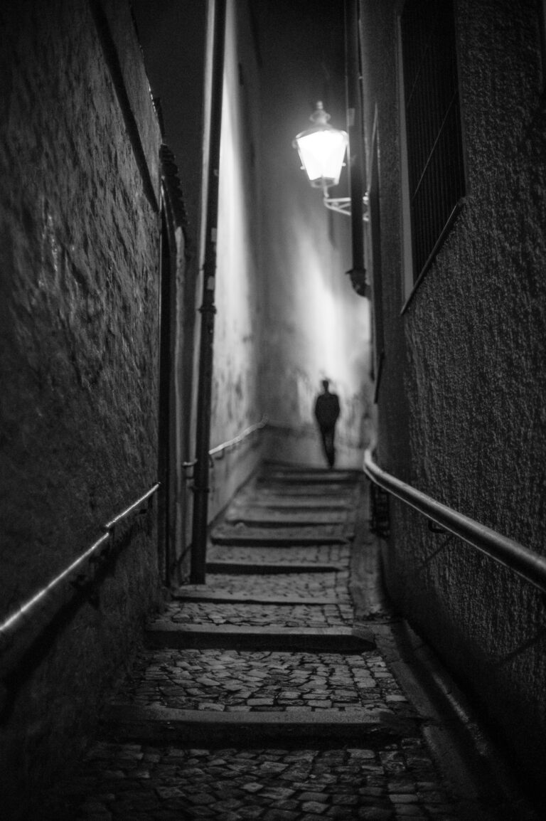 Photo by Philipp Rein