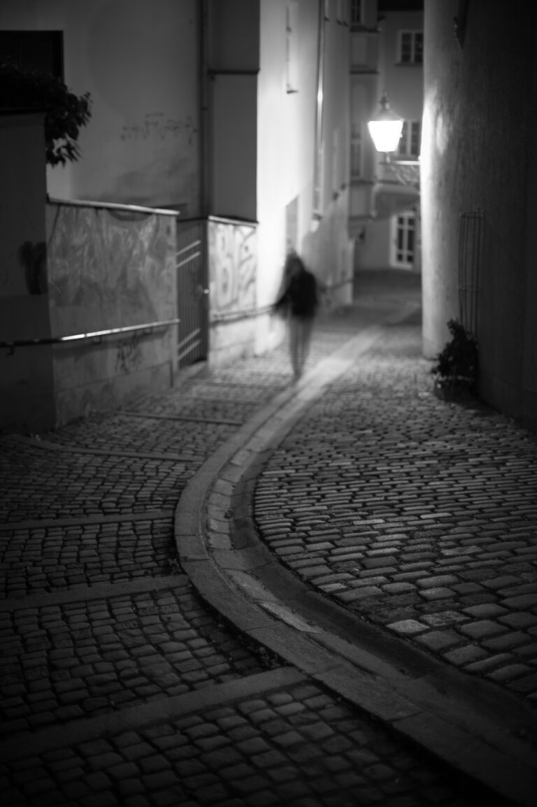 Photo by Philipp Rein