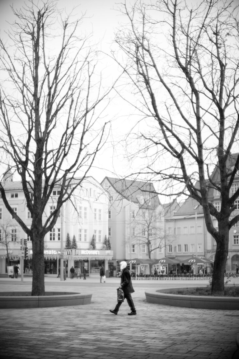 Photo by Philipp Rein