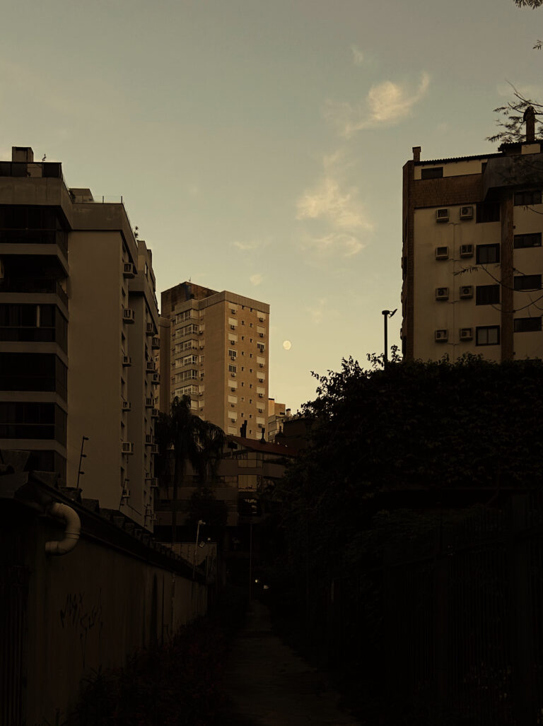 Photo by Patrick Souza