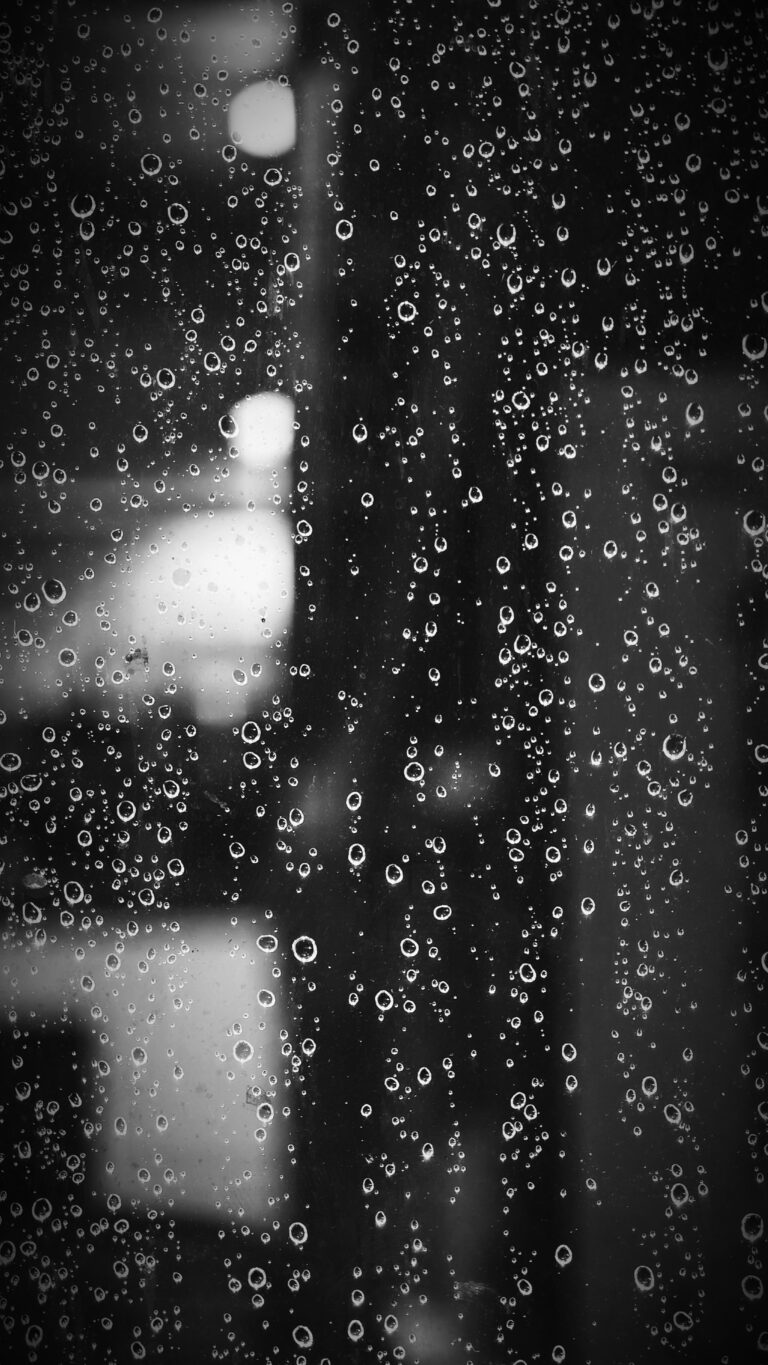 Photo by Hung Pham