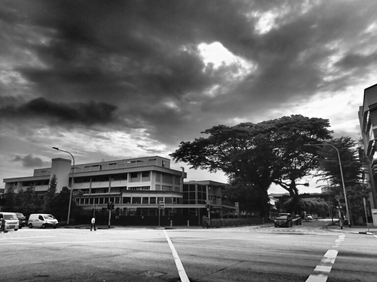 Photo by Nik TAN