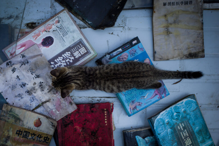 Photo by Alex 艾老师