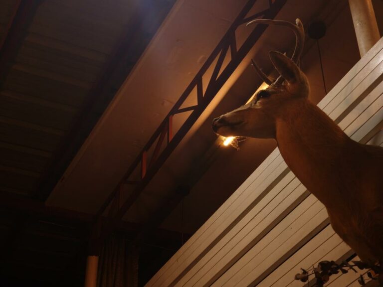 Photo by Julia Fleur Escarlos