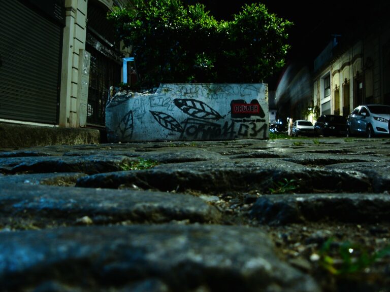 Photo by Diestro Corleone