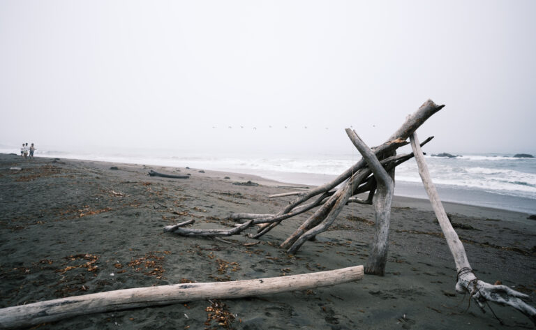 Photo by Wayne Rogge