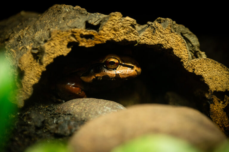 Photo by Chris O\'connor