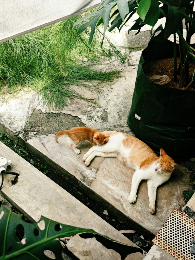 Photo by Fath Robbani