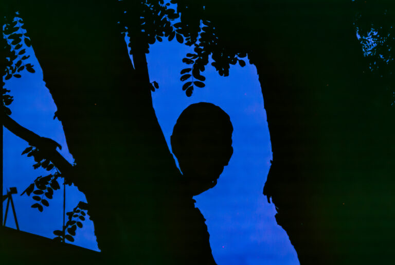 Photo by Alex 艾老师