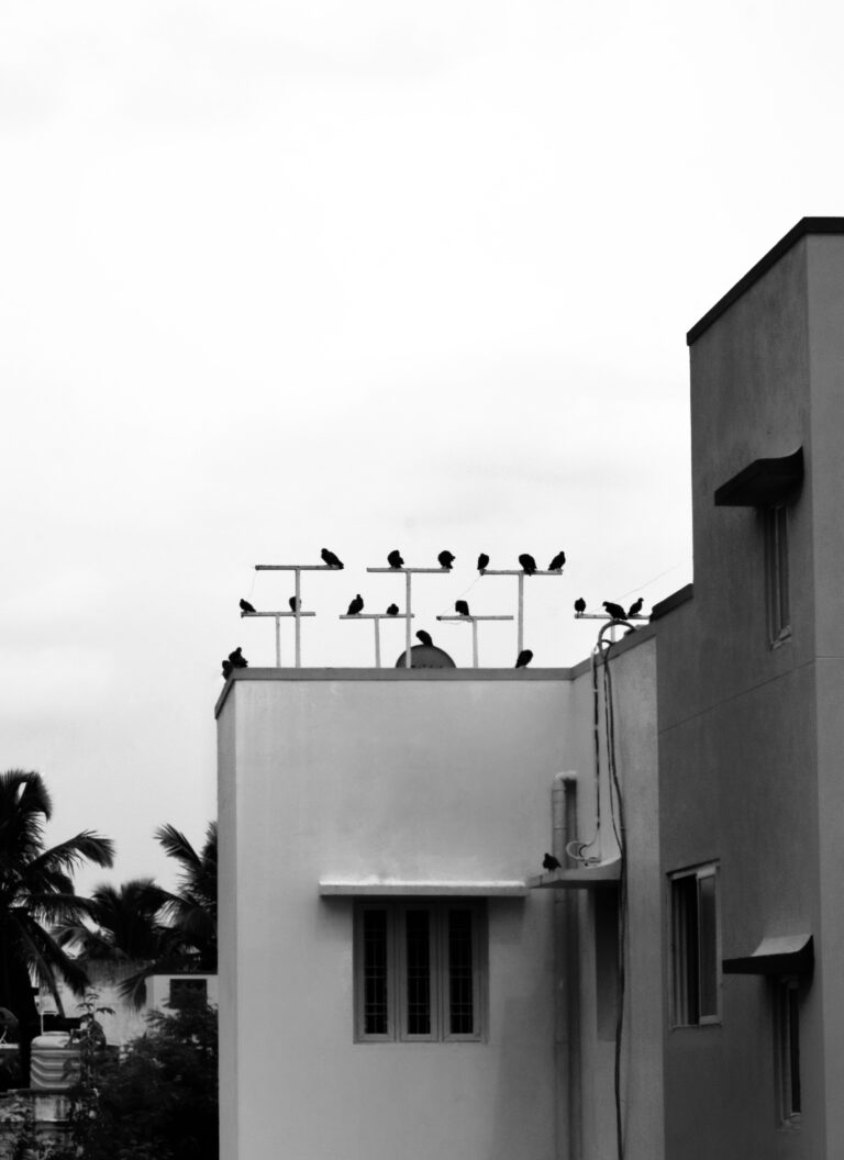 Street photo in Chennai, India by Tamiloli Durai