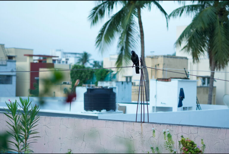 Street photo in Chennai, India by Tamiloli Durai