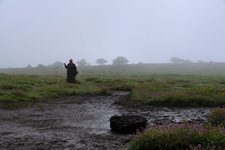 Street photo in Kaas plateau, India by Tanwir Mir