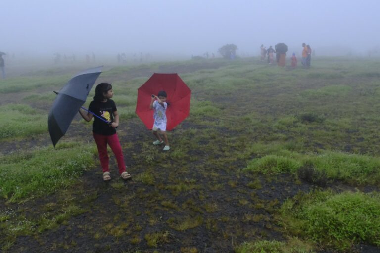 Street photo in Kaas plateau, India by Tanwir Mir