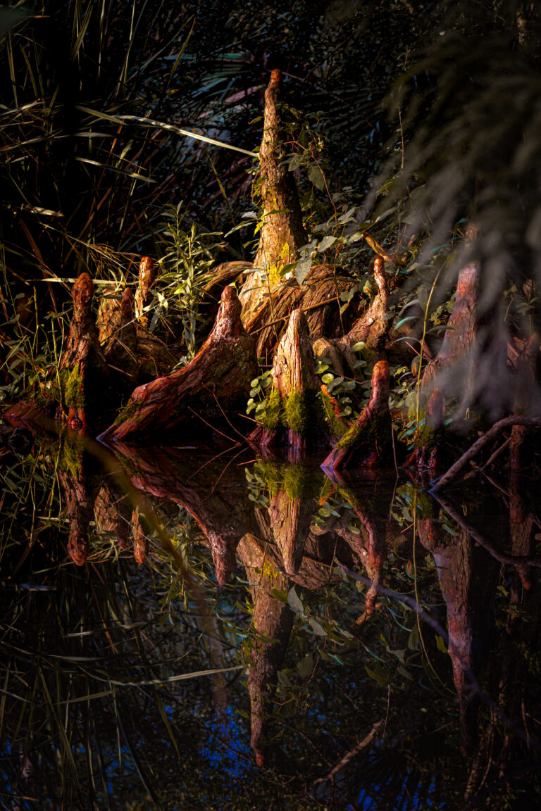 Photo by Chris O\'connor