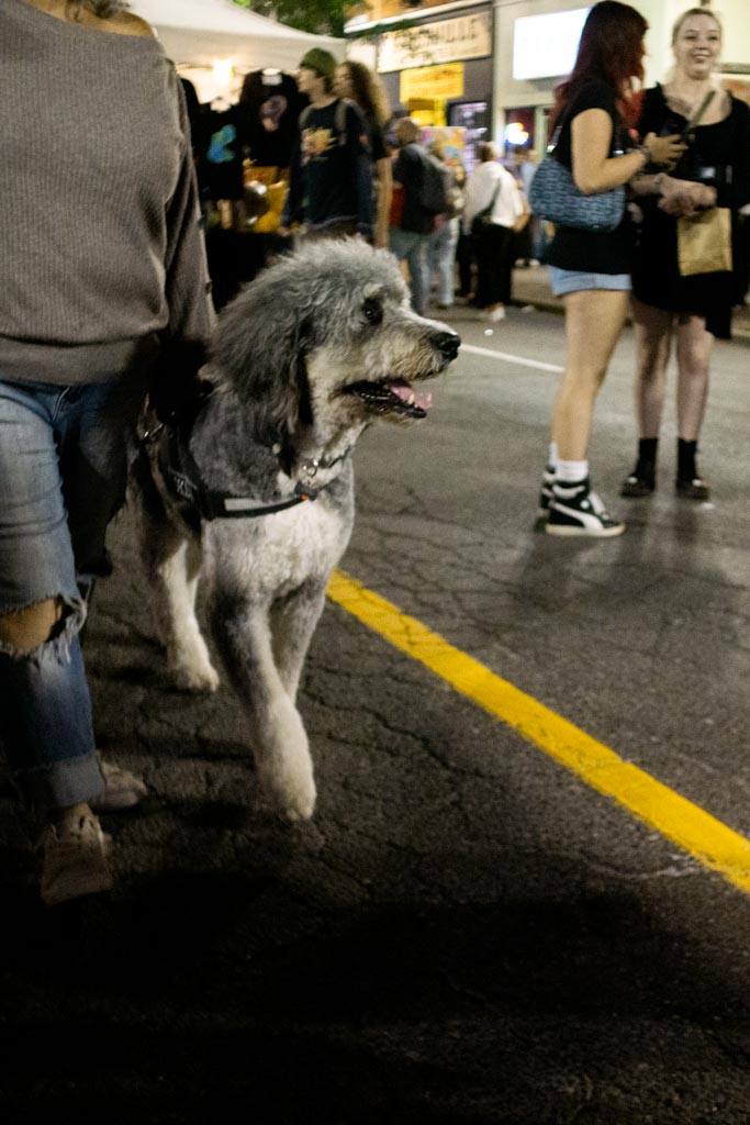 Street photo in Hamilton, Canada by Orlando Dasilva