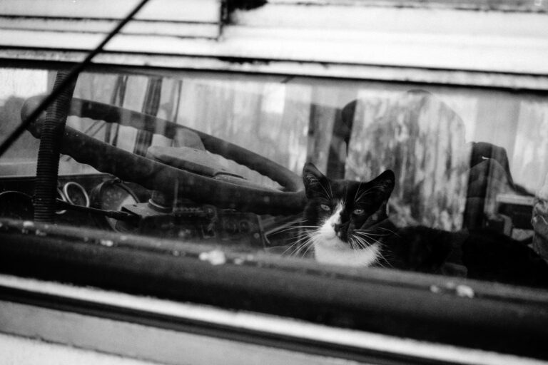 Photo by Christian Michael
