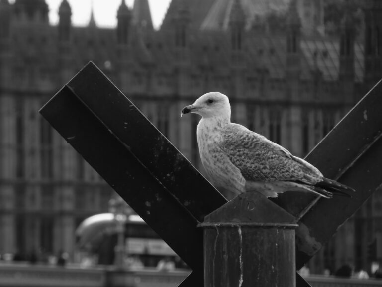 Photo by Yusuf Gungor