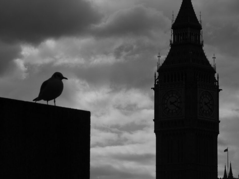Photo by Yusuf Gungor
