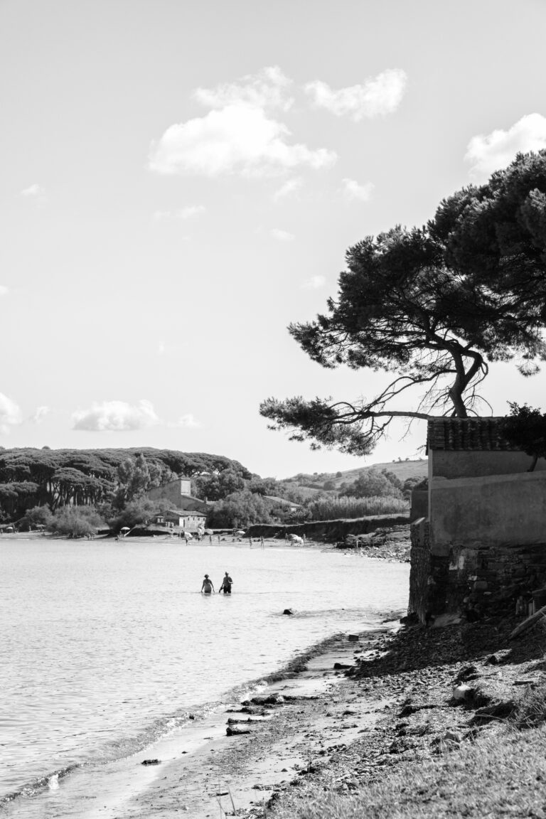Photo by Thomas Bassetti